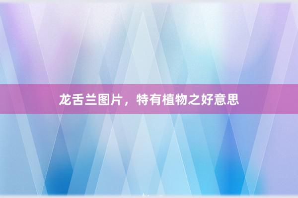 龙舌兰图片,特有植物之好意思