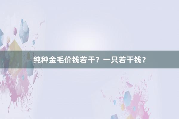 纯种金毛价钱若干？一只若干钱？