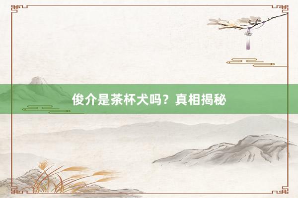 俊介是茶杯犬吗？真相揭秘