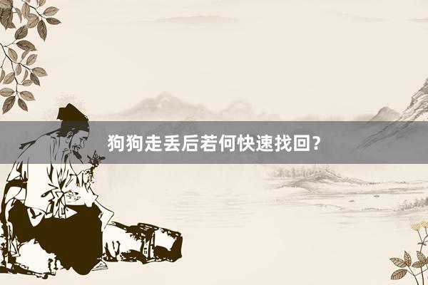 狗狗走丢后若何快速找回？
