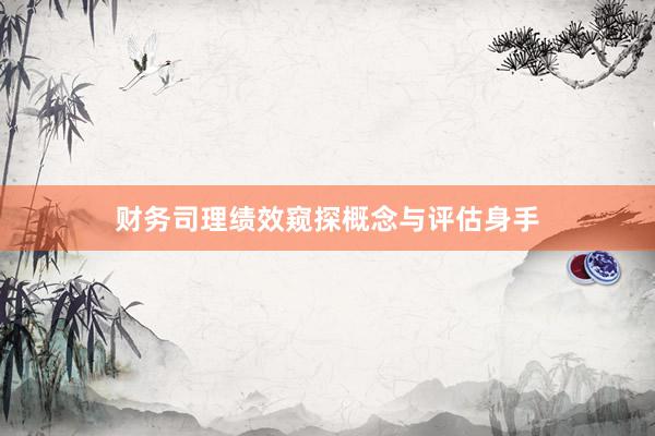 财务司理绩效窥探概念与评估身手